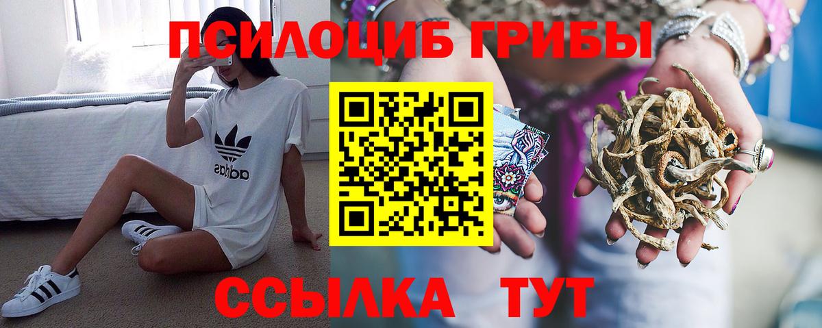 Галлюциногенные грибы Magic Shrooms Малгобек